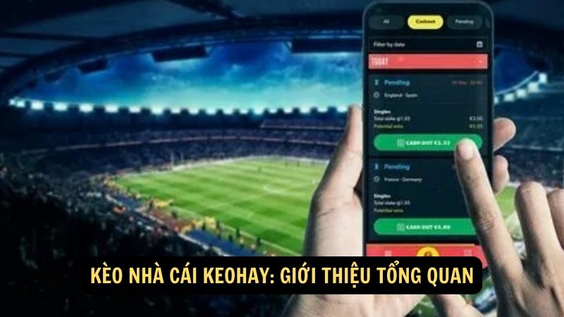 Kèo nhà cái keohay: Giới thiệu tổng quan