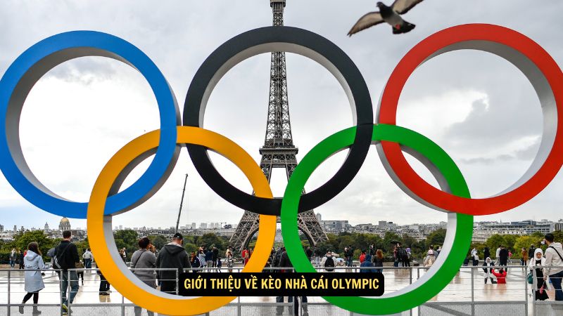 Giới thiệu về kèo nhà cái Olympic