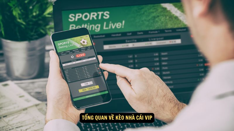 Tổng quan về kèo nhà cái VIP