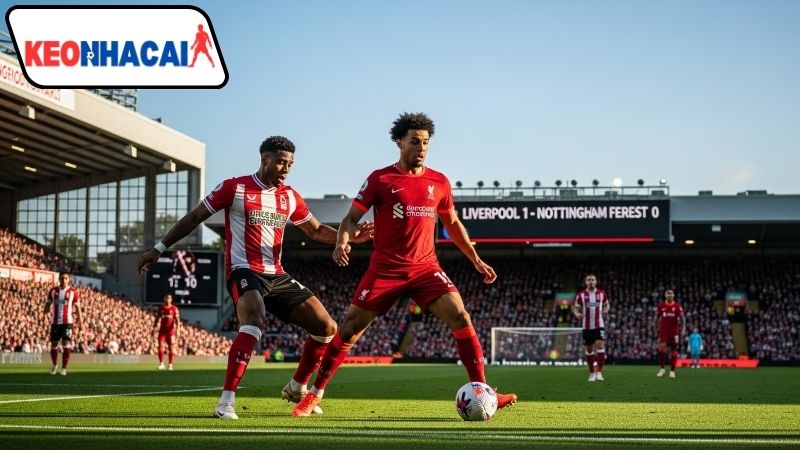 220022h00 ngay 22 11 liverpool vs nottingham Phong độ và tình hình hai đội